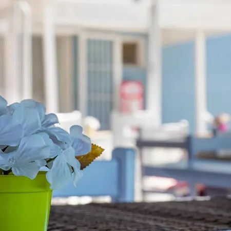 Minerva Port Hotel