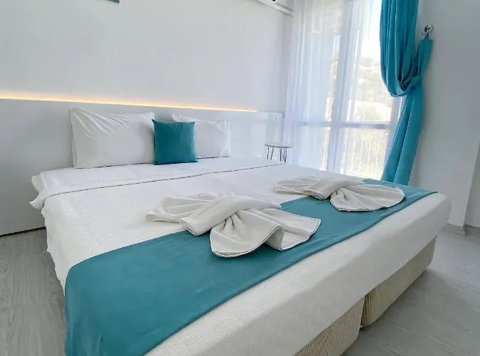 酒店 Minerva Port 3*