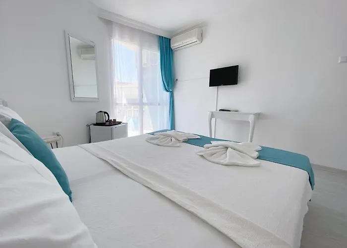 酒店 Minerva Port 3*